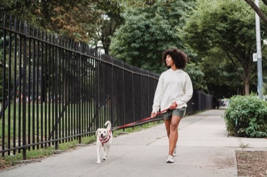 Woman walking her dog on a city sidewalk